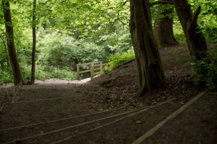 Shorne country park - Trail and bridge compressed